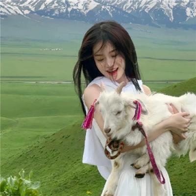 卫斯理之老猫