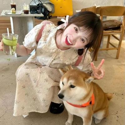 走过路过莫错过